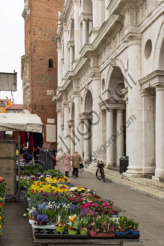 Flower Stall in Piazza dei Signori Facing the Palladian Basilica