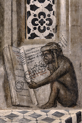 Affresco scimmia con occhiali che legge libro frase latina, dettaglio Libreria Alberi MODO Orvieto