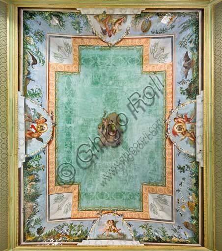 Dettaglio degli affreschi barocchi sulla volta della Sala degli Uccelli, Palazzo dei Normanni (Palazzo Reale) di Palermo