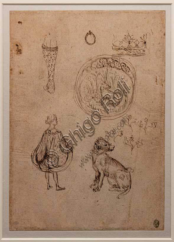 Disegno studi Pisanello: dettagli gamba anello corona uomo rinascimentale