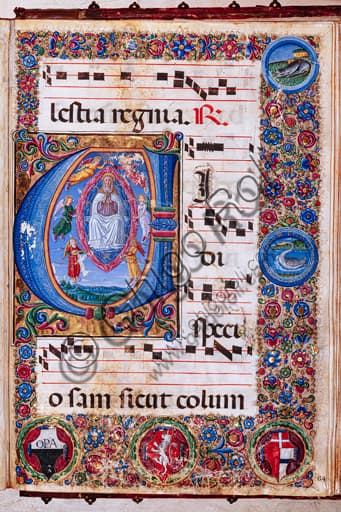 Assumption of the Virgin illuminated manuscript Piccolomini Library Siena Cozzarelli Cignoni Renaissance art