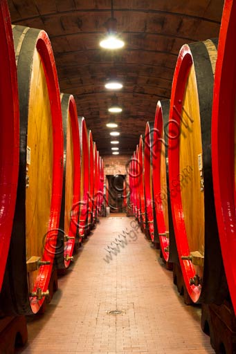 Botti in rovere per l'invecchiamento dell'Amaro Braulio nelle cantine della Distilleria Peloni