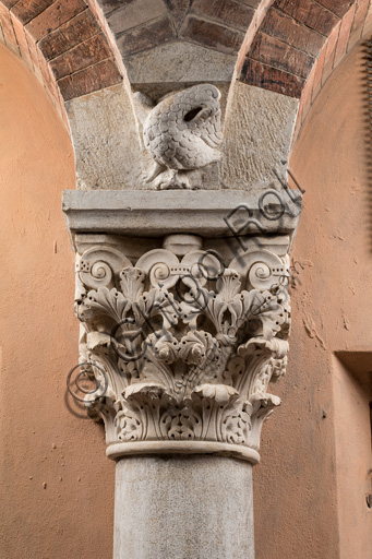 Dettaglio scultoreo del capitello corinzio con uccello nella protome dell'abaco, Torre Ghirlandina di Modena, Maestri Campionesi