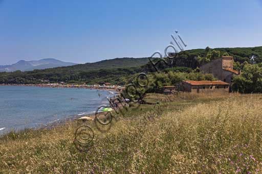 Casolare rustico nel Golfo di Baratti con vista sulla spiaggia e vicino alla Fonte di San Cerbone