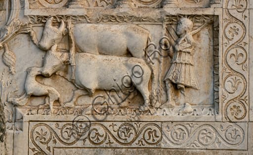 Dettaglio scultoreo con buoi sulla facciata romanica della Chiesa di San Pietro a Spoleto, XII secolo.