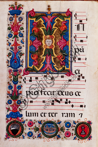 Dettaglio iniziale fogliacea miniata nel Corale 5.E di Pellegrino di Mariano, Libreria Piccolomini Siena
