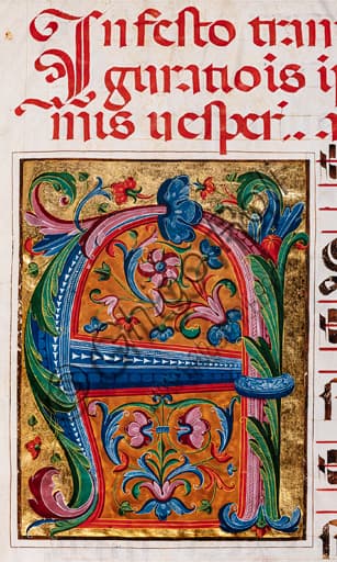 Detail foliated initial letter illuminated manuscript choir book Piccolomini Library