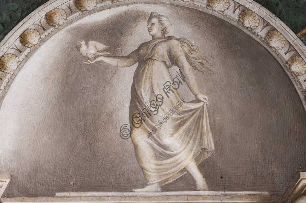 Dettaglio dell'affresco monocromo Diana Lucifera di Correggio nella Camera di San Paolo, Parma