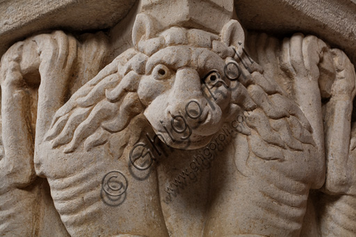 Dettaglio scultoreo del capitello romanico con leoni rampanti, arte dei Maestri Campionesi, Sala dei Torresani nella Torre Ghirlandina di Modena