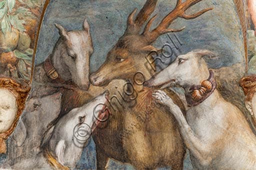 Dettaglio della parete nord con Atteone trasformato in cervo, affresco di Parmigianino, Rocca Sanvitale di Fontanellato