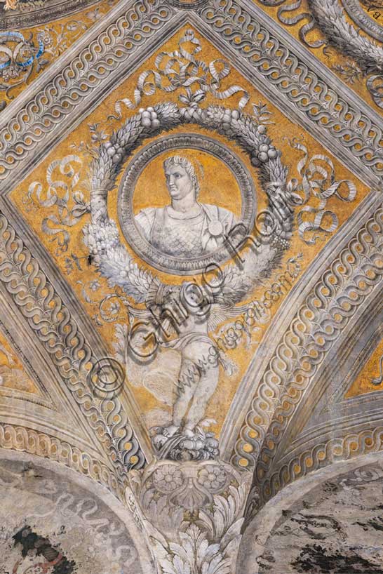 Dettaglio affresco volta Camera degli Sposi: losanga dorata con ritratto Nerone e putto, Mantegna, Palazzo Ducale Mantova