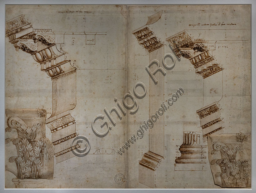 Disegno di Andrea Palladio che analizza il Tempio di Minerva e il Foro di Nerva con capitelli corinzi, anni '40 del Cinquecento