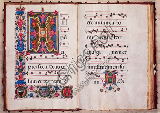 Detail of foliated initial illumination, Piccolomini Library choir book, Pellegrino di Mariano