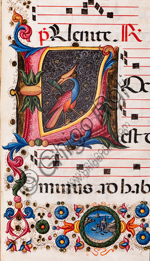 Dettaglio Iniziale Fogliacea miniata, corale Piccolomini, Duomo di Siena, Pellegrino di Mariano
