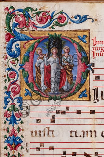 Detail of Three Virgin Saints illumination, Liberale da Verona, Piccolomini Library choir book
