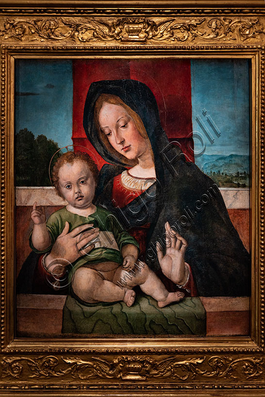 Madonna con Bambino dipinto di Bartolomeo Montagna olio su tavola Rinascimento veneto