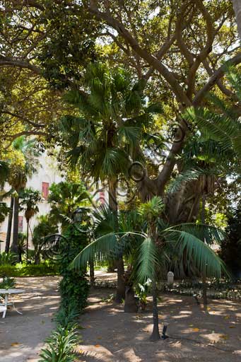 Veduta aerea del lato sud-ovest di Palazzo dei Normanni a Palermo con i Giardini del Bastione di San Pietro e una palma