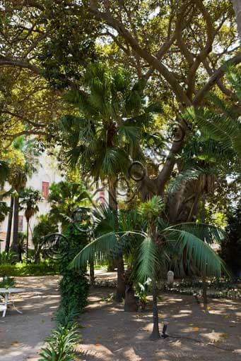 Veduta aerea del lato sud-ovest di Palazzo dei Normanni a Palermo con i Giardini del Bastione di San Pietro e una palma