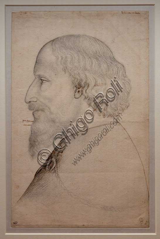 Disegno a matita e inchiostro bruno del profilo dell'imperatore Sigismondo di Lussemburgo di Pisanello