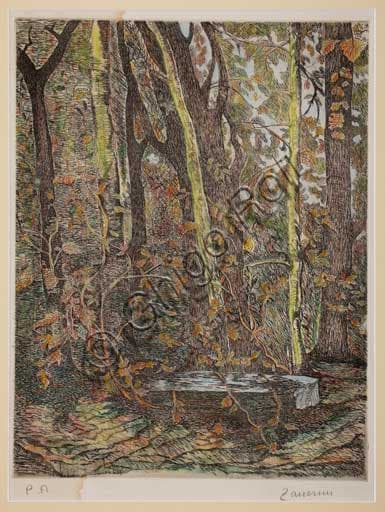 Litografia colorata Nel bosco di Remo Zanerini, paesaggio boschivo italiano
