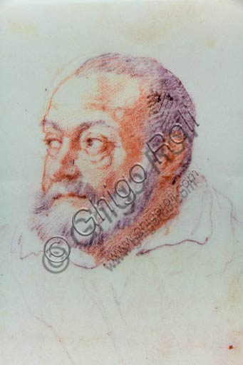 Ritratto affrescato di Jacopo Barozzi da Vignola, detto il Vignola, opera di Federico Zuccari presso i Musei Civici di Palazzo Farnese a Piacenza.