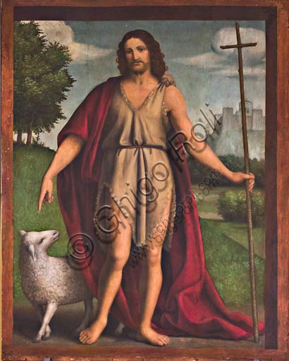 Dettaglio San Giovanni Battista polittico Bernardino Luini Museo Abbazia San Colombano Bobbio