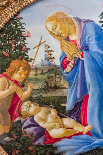 Dipinto Madonna adorante il Bambino con San Giovannino di Sandro Botticelli a Palazzo Farnese, Piacenza
