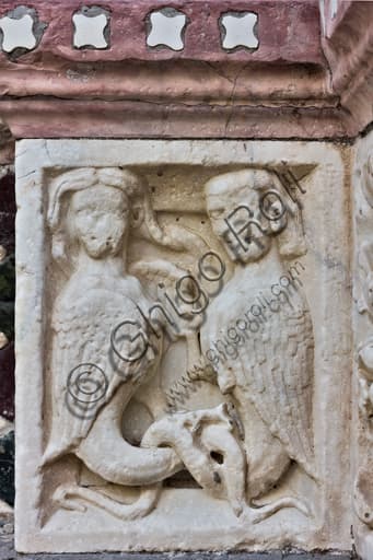 Scultura Arpie affrontate, formella basamento portale Duomo di San Lorenzo Genova