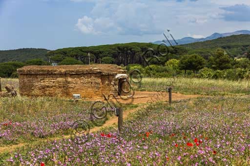 Tomba etrusca delle Pissidi Cilindriche nel Parco Archeologico di Baratti e Populonia, Toscana