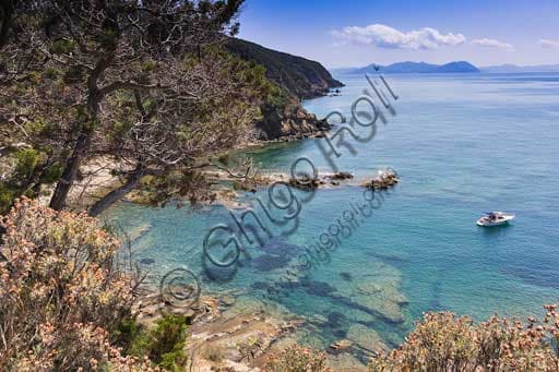 Veduta paesaggistica della Cala di San Quirico, spiaggia del Promontorio di Piombino sulla costa toscana