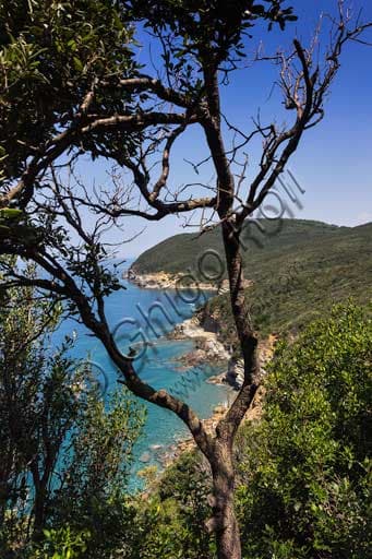 Veduta panoramica della costa del Promontorio di Piombino in Toscana, con vista su Cala San Quirico