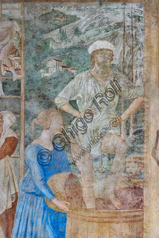 Particolare della pigiatura dell’uva in un tino, affresco Vendemmia ed Ebbrezza di Noè di Benozzo Gozzoli, Camposanto Monumentale di Pisa