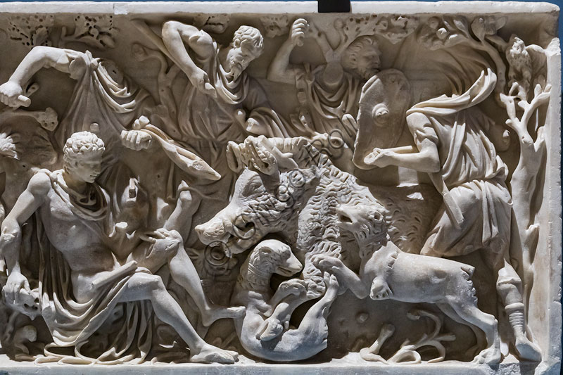 Palazzo Ducale, Appartamento di Troia: Fronte di sarcofago con scene del mito di Adone, marmo proconnesio, fine II secolo d.C. Particolare di Adone disarmato e ferito alla coscia dal cinghiale.