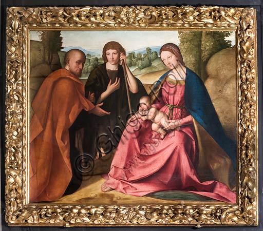 Modena, Galleria Estense: "Adorazione dei Pastori" (Madonna con Bambino e due pastori), di Boccaccio Boccaccino (1466-1525). Particolare.