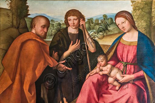 Modena, Galleria Estense: "Adorazione dei Pastori" (Madonna con Bambino e due pastori), di Boccaccio Boccaccino (1466-1525). Particolare.