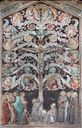 Basilica of the Holy Cross: ""Tree of Life and Last Supper", about 1350, by Taddeo Gaddi, detached fresco. Detail of the Tree of Life and of the Crucifixion. The Cross is a tree whose twelve branches bear medallions with prophets. At the base, the Virgin, the pious women, St. John the Evangelist, St. Francis, St. Louis of Toulouse, St. Anthony of Padua and St. Dominic.