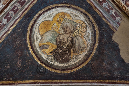 Basilica of the Holy Cross, the Bardi Chapel, vault: "Allegory of Chastity", (1320 - 1325)  by Giotto.