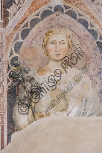 “Allegoria della Dialettica”. Affreschi di Jacopo di Cione (fratello dell’Orcagna,1366-1406), su programma iconografico di Coluccio Salutati, conservato nel  Palazzo dell'Arte dei Giudici e Notai, o del Proconsolo a Firenze.