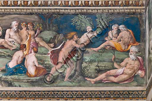 Roma, Villa Farnesina, Sala delle Prospettive: fregio superiore con scene mitologiche ispirate alle Metamorfosi di Ovidio.  Affreschi di Baldassarre Peruzzi e bottega (Giulio Romano?) 1517-18. Particolare con Apollo che si protende verso Dafne, convinto ormai di averla raggiunta. Proprio mentre l'afferra si rende conto che questa ha iniziato a trasformarsi in un albero. Dafne vorrebbe proseguire la sua corsa, tanto che la parte superiore del suo corpo è sbilanciata in avanti, ma le sue gambe rimangono fissate al terreno, sono ormai tronco, e la sua metamorfosi sta per compiersi. Il personaggio disteso davanti a lei, con una folta barba bianca, che si appoggia ad un'urna, dovrebbe impersonare il dio-fiume Peneo, padre di Dafne, che ha ascoltato le preghiere della figlia e ha acconsentito alla sua trasformazione in albero, affinché questa possa tener fede al suo voto di castità. Disposte attorno ai protagonisti principali, figure di ninfe ed altre divinità fluviali.