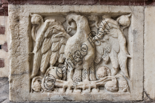 , Genoa, Duomo (St. Lawrence Cathedral), West side, the façade, the left doorway: "Eagle with spread wings", figured panel of the base decoration.