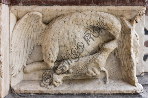 , Genoa, Duomo (St. Lawrence Cathedral), West side, the façade, the left doorway: "Eagle clutching a prey", figured panel of the base decoration.