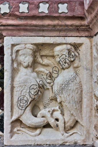 , Genoa, Duomo (St. Lawrence Cathedral), West side, the façade, the main doorway: "Harpies facing one another", by Master of the Ark of the Baptist (about 1225), figured panel of the base decoration.