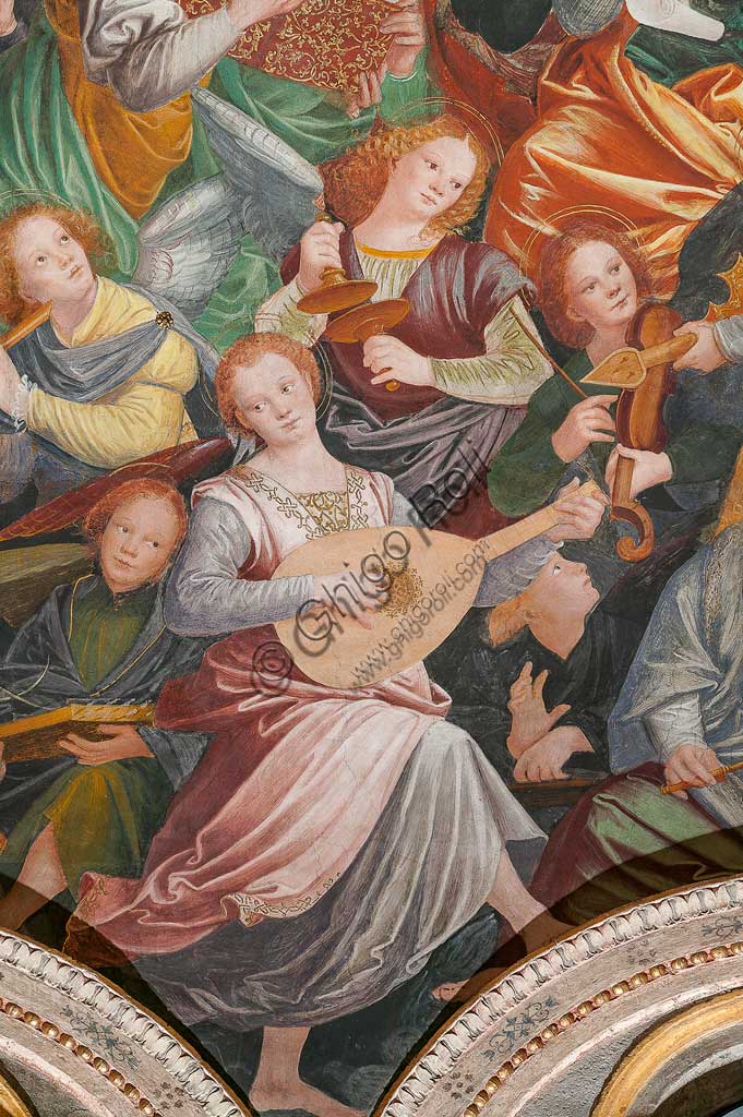 Saronno, Santuario della Beata Vergine dei Miracoli: la cupola del transetto con il grande affresco "Assunzione della Beata Vergine", meglio noto come "Coro di angeli musicanti" vera e propria allegoria del Paradiso, affrescata da Gaudenzio Ferrari a partire dal 1534.A raffigurare il Paradiso è essenzialmente la moltitudine delle presenze angeliche, poste a far da corona al volto di Dio e ad accogliere l'arrivo della Vergine.Gli angeli musicanti  compongono la più variegata orchestra di strumenti a corde ed a fiato ed a percussione che mai sia stata dipinta.Si possono contare ben cinquantasei diversi strumenti musicali, i più riconoscibili come strumenti antichi, altri usciti dalla fantasia dell'artista. Si riconoscono i seguenti strumenti: alpenhorn (corno delle Alpi), altobasso, arpa, bombarda, cimballini o piccoli piatti, cornamusa, cornetto, flauto (dolce e traverso), flauto di Pan o siringa, ghironda, lira, liuto, nyastaranga, organo portativo, ribeca, viella, salterio o cetra, tamburo e tamburello, timpani, triangolo, tromba, viola.Particolare.