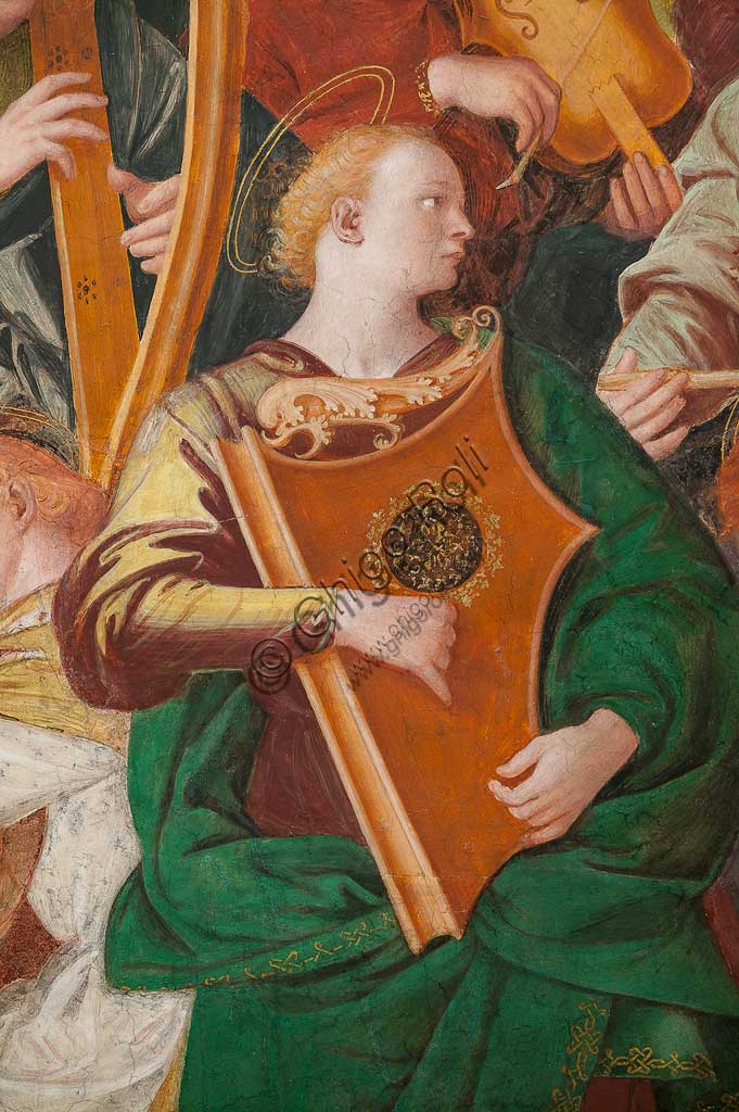 Saronno, Santuario della Beata Vergine dei Miracoli: la cupola del transetto con il grande affresco "Assunzione della Beata Vergine", meglio noto come "Coro di angeli musicanti" vera e propria allegoria del Paradiso, affrescata da Gaudenzio Ferrari a partire dal 1534.A raffigurare il Paradiso è essenzialmente la moltitudine delle presenze angeliche, poste a far da corona al volto di Dio e ad accogliere l'arrivo della Vergine.Gli angeli musicanti  compongono la più variegata orchestra di strumenti a corde ed a fiato ed a percussione che mai sia stata dipinta.Si possono contare ben cinquantasei diversi strumenti musicali, i più riconoscibili come strumenti antichi, altri usciti dalla fantasia dell'artista. Si riconoscono i seguenti strumenti: alpenhorn (corno delle Alpi), altobasso, arpa, bombarda, cimballini o piccoli piatti, cornamusa, cornetto, flauto (dolce e traverso), flauto di Pan o siringa, ghironda, lira, liuto, nyastaranga, organo portativo, ribeca, viella, salterio o cetra, tamburo e tamburello, timpani, triangolo, tromba, viola.Particolare.