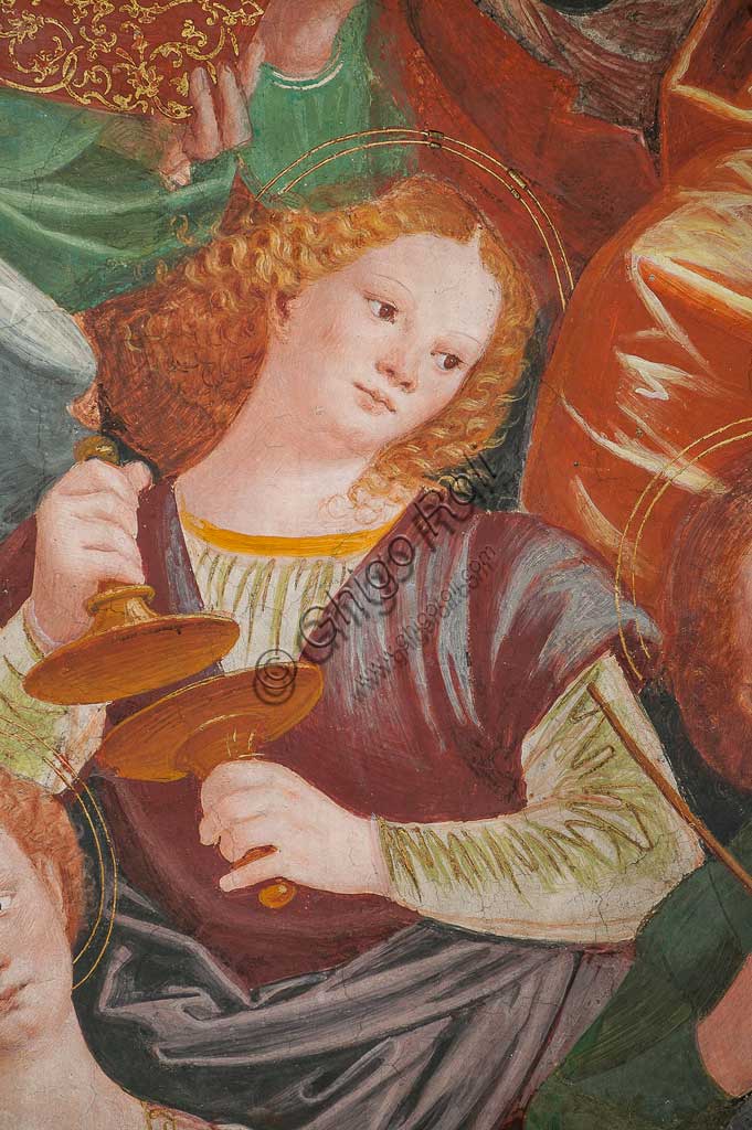 Saronno, Santuario della Beata Vergine dei Miracoli: la cupola del transetto con il grande affresco "Assunzione della Beata Vergine", meglio noto come "Coro di angeli musicanti" vera e propria allegoria del Paradiso, affrescata da Gaudenzio Ferrari a partire dal 1534.A raffigurare il Paradiso è essenzialmente la moltitudine delle presenze angeliche, poste a far da corona al volto di Dio e ad accogliere l'arrivo della Vergine.Gli angeli musicanti  compongono la più variegata orchestra di strumenti a corde ed a fiato ed a percussione che mai sia stata dipinta.Si possono contare ben cinquantasei diversi strumenti musicali, i più riconoscibili come strumenti antichi, altri usciti dalla fantasia dell'artista. Si riconoscono i seguenti strumenti: alpenhorn (corno delle Alpi), altobasso, arpa, bombarda, cimballini o piccoli piatti, cornamusa, cornetto, flauto (dolce e traverso), flauto di Pan o siringa, ghironda, lira, liuto, nyastaranga, organo portativo, ribeca, viella, salterio o cetra, tamburo e tamburello, timpani, triangolo, tromba, viola.Particolare.