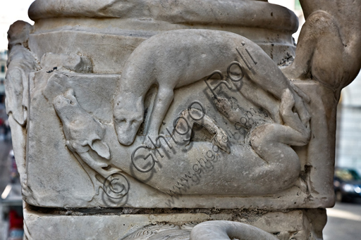 Genova, Duomo (Cattedrale di S. Lorenzo), la facciata, lato ovest, angolo tra il lato ovest e il lato sud: particolare del "basamento di colonna con cane che sbrana un cervo", di bottega di Benedetto Antelami e Maestro dell'Arca del Battista, 1200 circa.