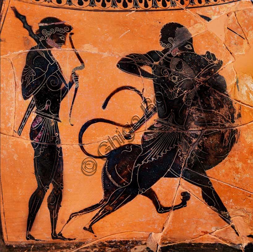 Museo Civico Archeologico di Bologna:Anfora attica bilingue del Pittore di Andokides, dal sepolcreto Arnoaldi, tomba 85.Intorno al 530 a.C., il pittore Andokide, che lavorava nello studio ateniese del ceramista Exechia, iniziò a sperimentare una nuova tecnica decorativa in terracotta in cui le figure venivano delineate lasciandone l'interno non dipinto, anziché dipingerle di nero. In questo modo realizzò diverse opere "bilingue", in cui le scene erano realizzate con le figure nere su un lato e le figure rosse, di nuova invenzione, sull'altro.Questa anfora, attribuibile allo stesso Andokide, è l'unico esemplare finora rinvenuto nell'Etruria padana che testimonia questo tipo di produzione. A differenza di altre anfore con la stessa scena nelle due tecniche sui due lati, qui gli episodi raffigurati sono diversi: da un lato è raffigurato Eracle, che uccide il leone nemeo, assistito da Iolao e al cospetto di Atena; dall'altro, Dioniso a banchetto, con al fianco Arianna che suona la cetra, e due satiri. L'anfora è un pezzo importato di pregio ed era l'unico elemento del corredo funerario di una tomba a incinerazione, nella quale i resti ossei erano stranamente depositati in un angolo della trincea, all'esterno dell'urna.È la più antica attestazione a Felsina della figura di Eracle.Inv. 18017.Particolare.