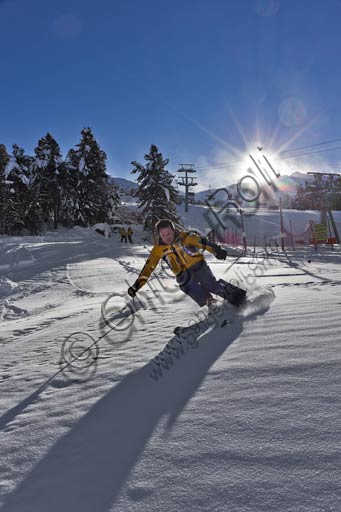 Bormio 2000, Scuola Italiana di Sci Gallo Cedrone: maestro di sci.