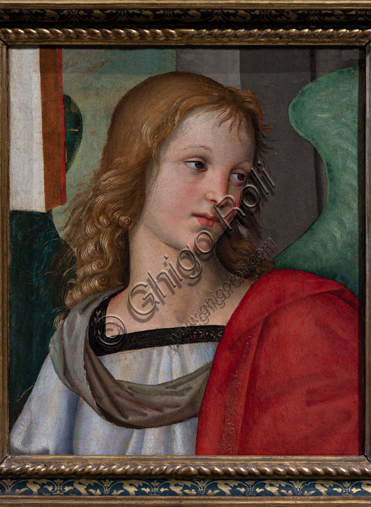 Brescia, Pinacoteca Tosio Martinengo: “Angel”, by Raffaello Sanzio, 1501.