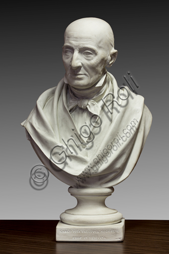 Collezione Assicoop - Unipol,   Alessandro Cavazza (Modena, 1824 - Reggio Emilia, 1873); "Busto di Carlo Pisa Faloppia, professore modenese"; 1855, scagliola altezza 75 cm.